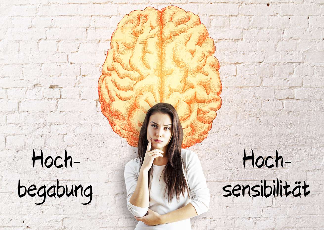 Forschung über Hochsensibilität und Hochbegabung