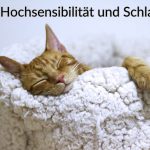 Schlafende Katze als Illlustration von "Hochsensibilität und Schlaf"